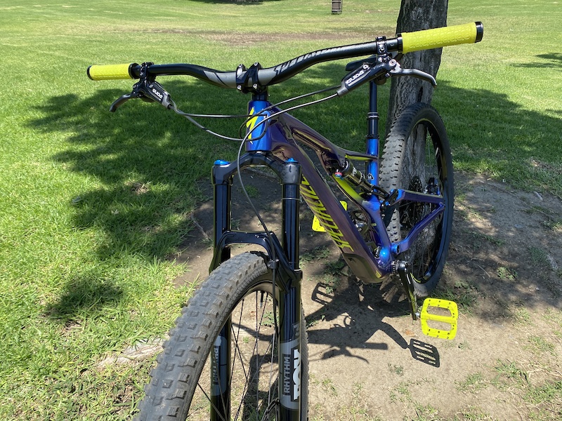 specialized stumpjumper expert carbon 29 2019