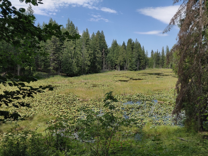Mud Lake 80 Mountain Biking Trail Sandpoint, Idaho