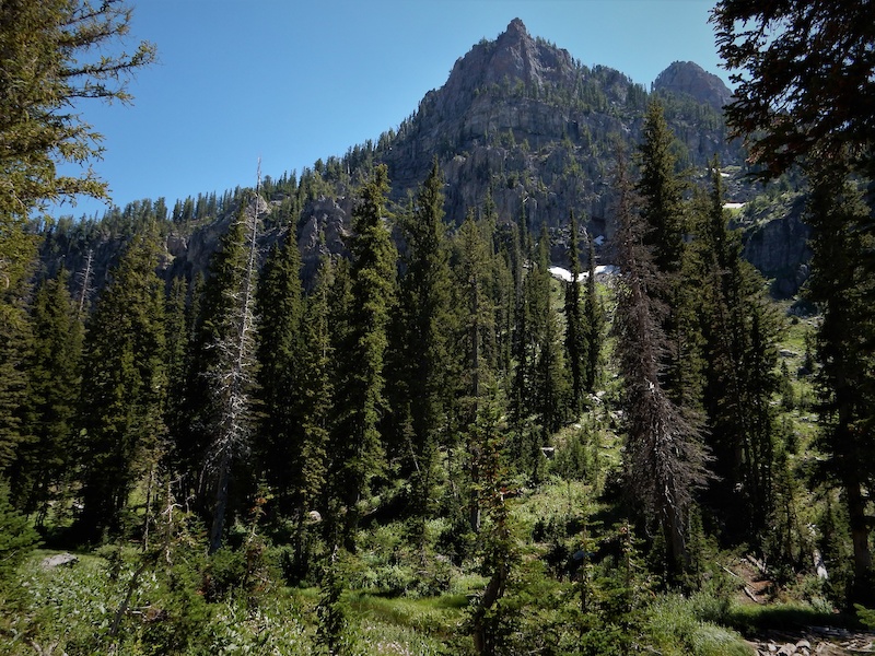 White Pine Lake Mountain Biking Trail Logan Utah white-pine-lake-mountain-biking-trail-logan-utah