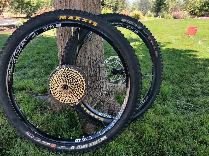 maxxis dt swiss