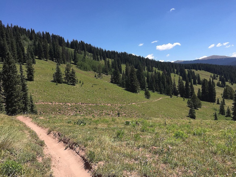 Flag Creek Mountain Biking Trail - Crested Butte, CO