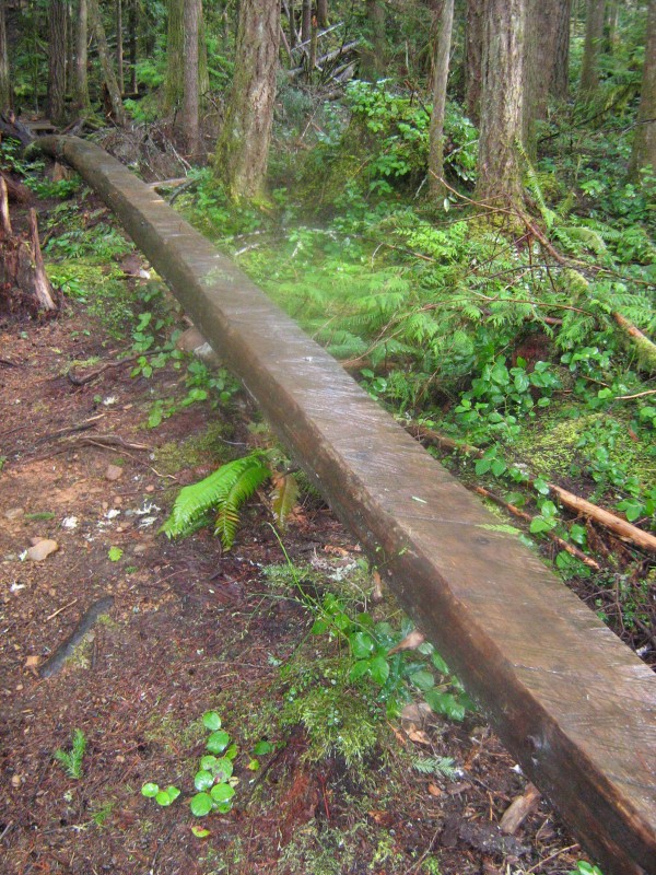 100 ft long 'Tied the Rot' log ride in very slippery conditions, ready for wire lathe.
