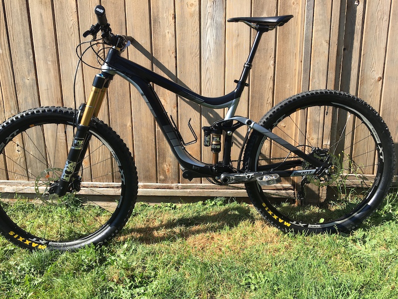 giant reign custom paint