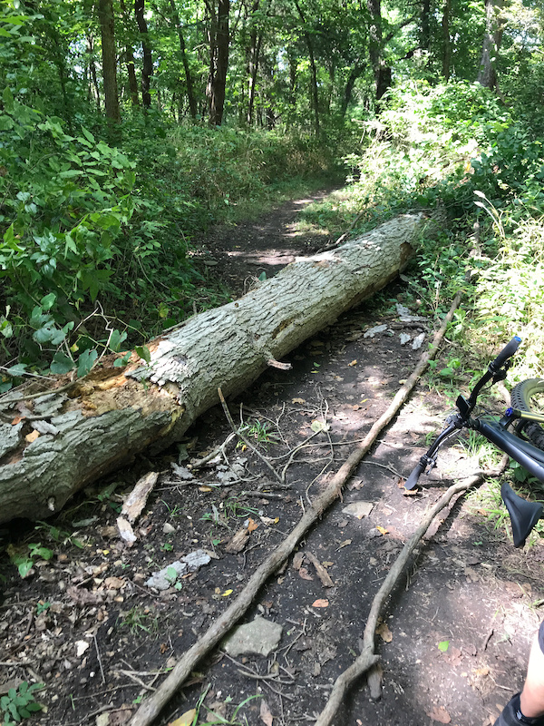 Stockton State Park, Dadeville Mountain Biking Trails Trailforks