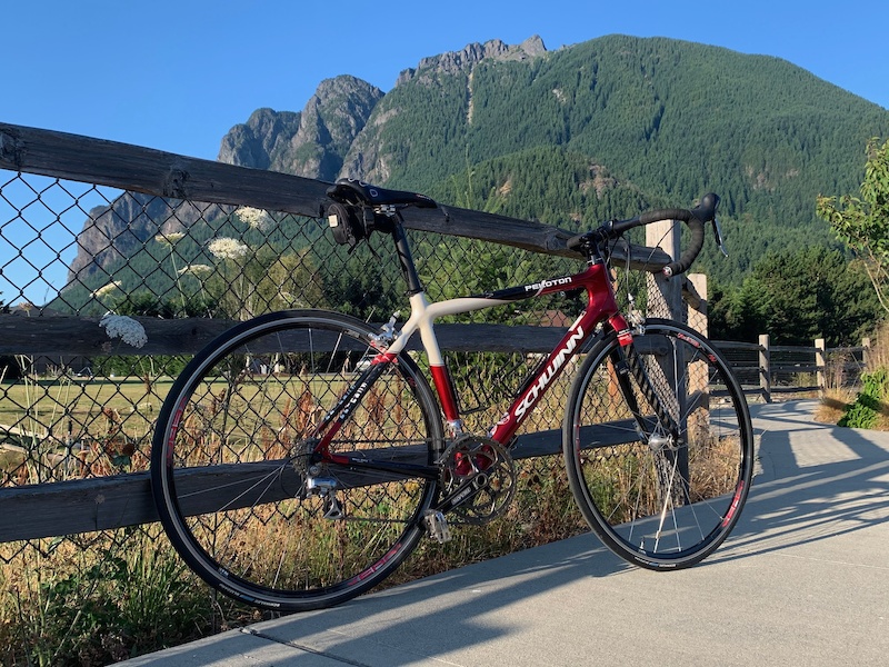 Schwinn peloton carbon online road bike