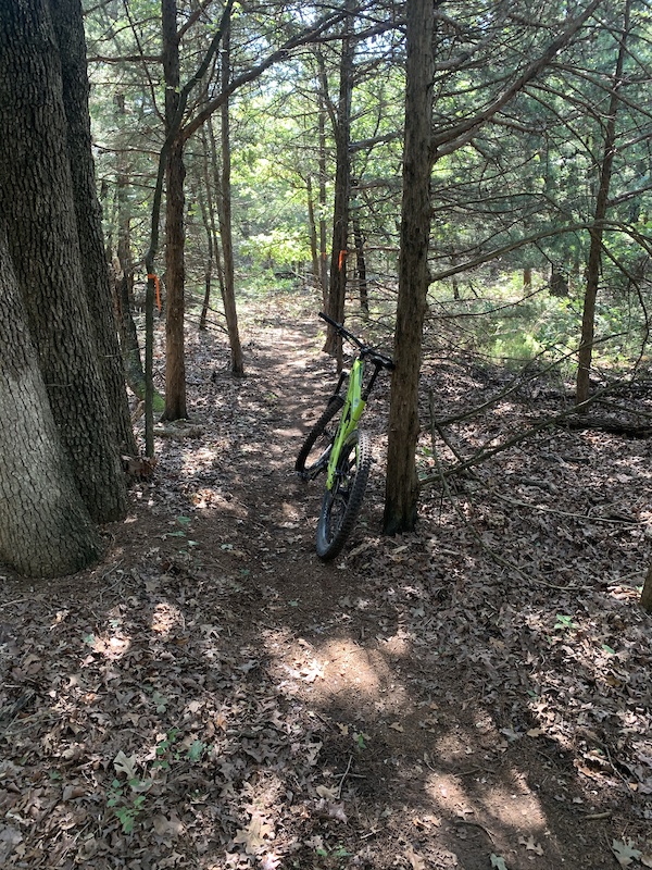 Aug 02 2020 Orange Trail Trail Report Trailforks