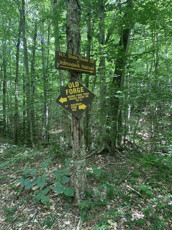 Brandy Lake Trail Multi Trail New York Trailforks