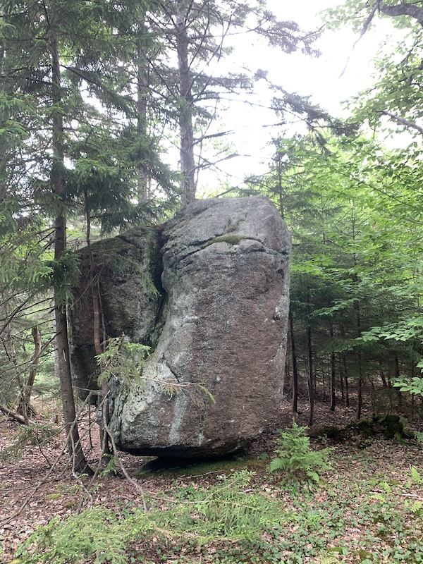 Woodhull Mountain Trail Multi Trail Old New York