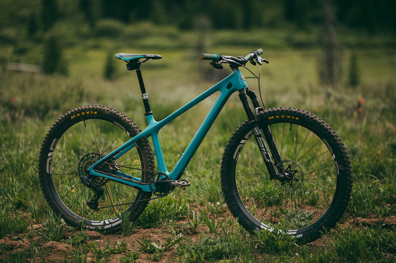 2021 hardtails