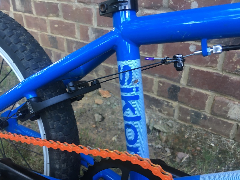 Dk siklon blue hotsell