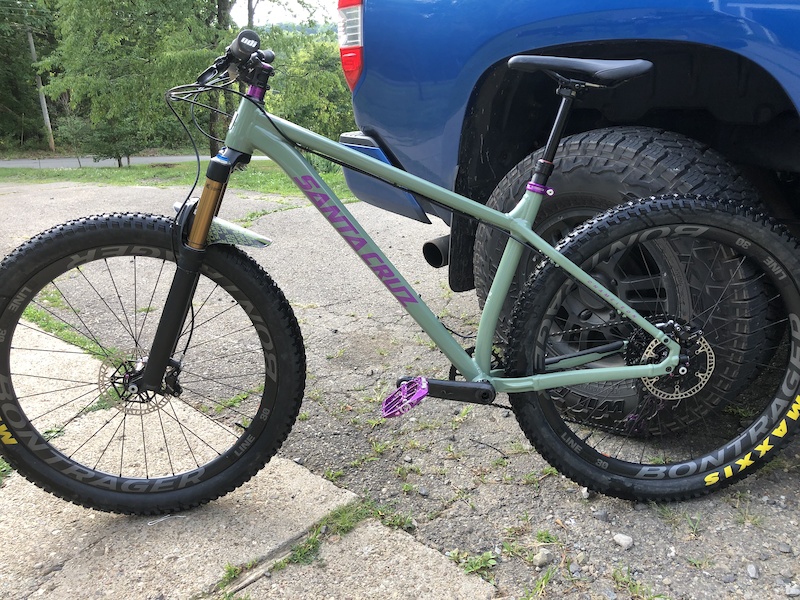 santa cruz chameleon for sale