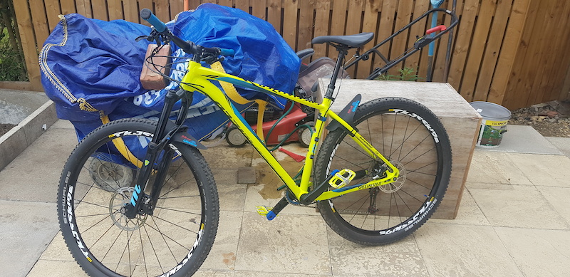 specialized fuse 29er