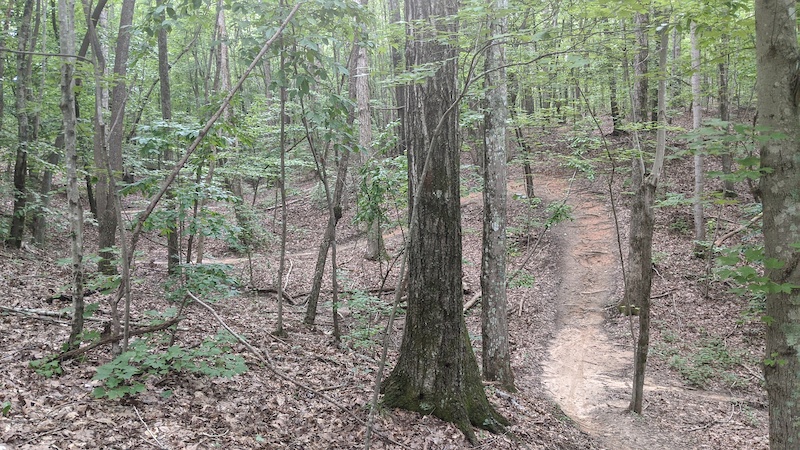 salisbury mountain bike trails