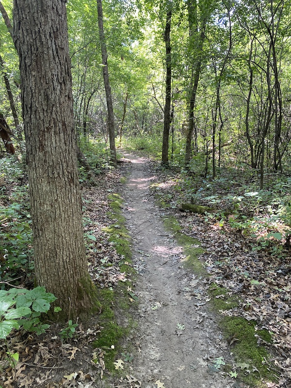 Plum Creek Mountain Biking Trail - Saint Cloud, Minnesota