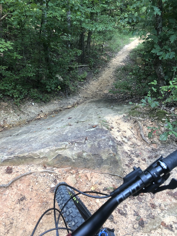 Fenton Forest/Bauxite Mountain Biking Trails Trailforks