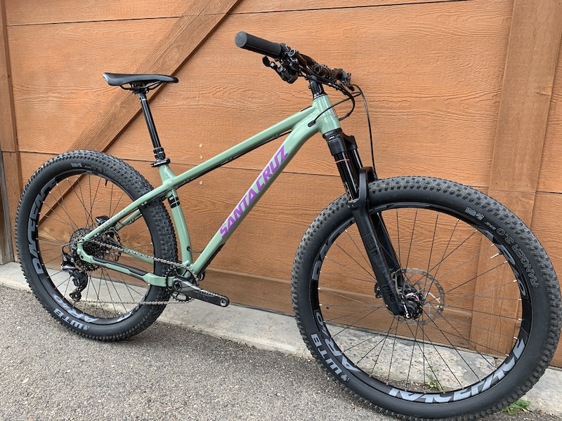 santa cruz chameleon