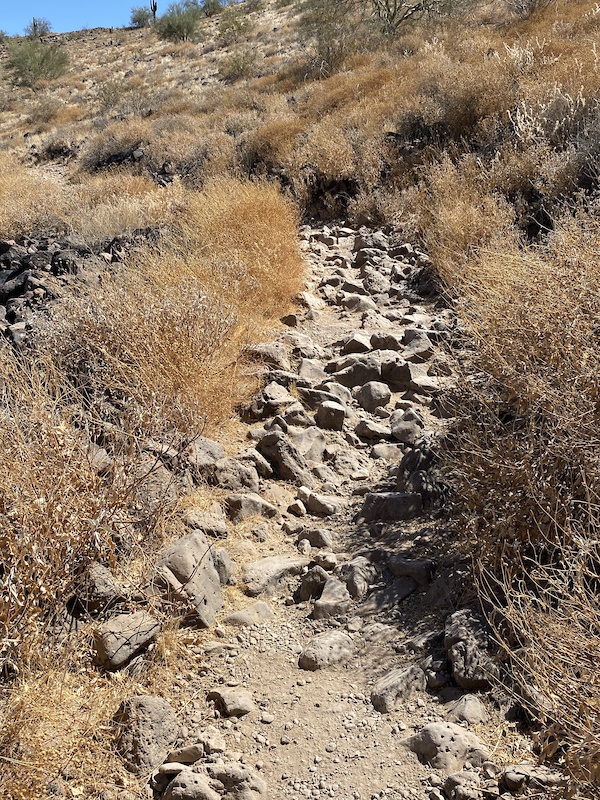 Cholla Loop Multi Trail Glendale, Arizona Trailforks