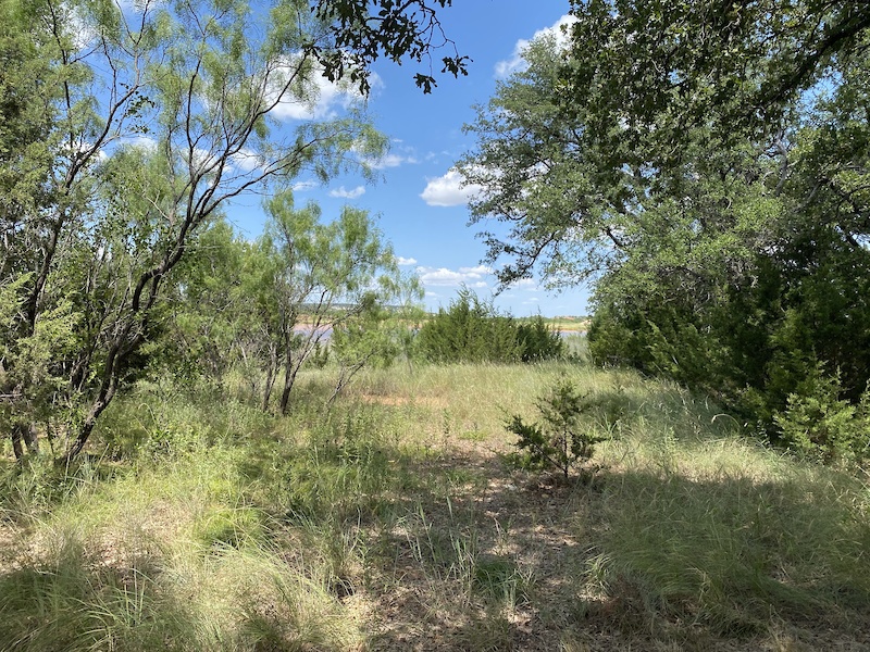 Abilene Dam Road Multi Trail - Abilene, Texas