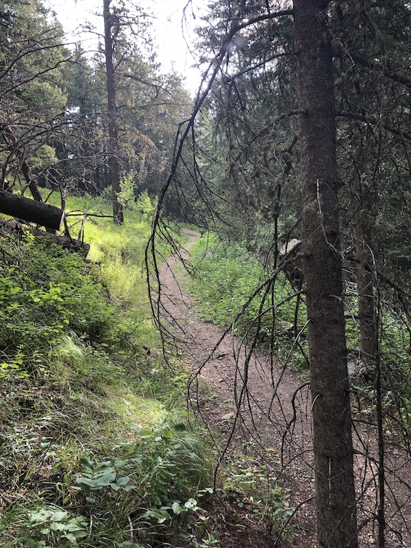 Spruce Coulee Trail Multi Trail - Elkwater, Alberta