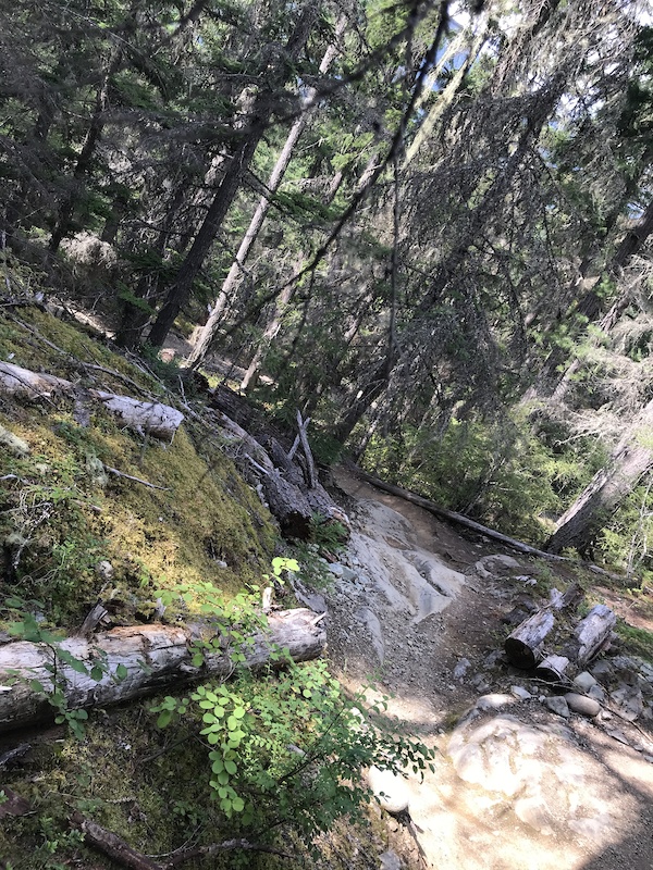 Epic Lost Lake Loop from Marketplace Mountain Biking Route Trailforks