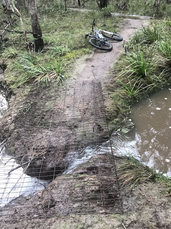 Cabbage Tree Mountain Biking Trail Nowra Trailforks