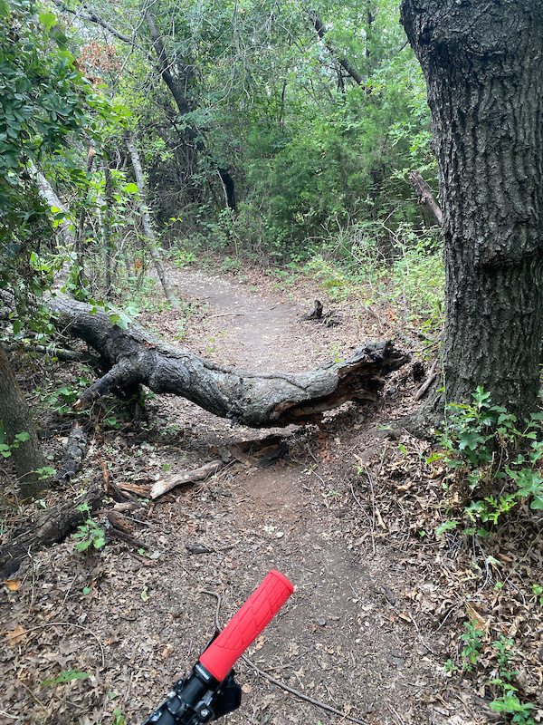 SXSW Mountain Biking Trail Dallas, Texas Trailforks