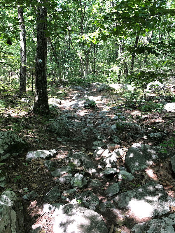 Boxford State Forest, Boxford Mountain Biking Trails Trailforks