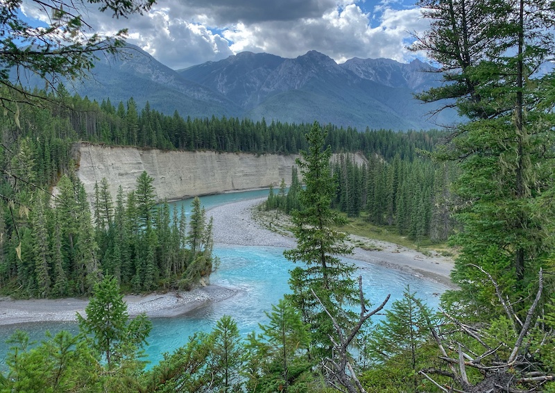 Chamois Whammy Mountain Biking Trail Windermere, BC