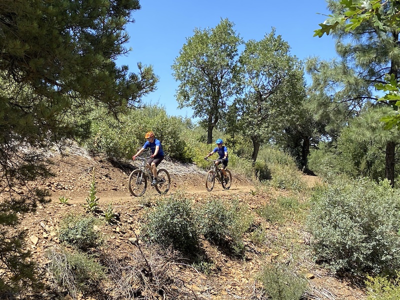 Aug 14, 2020 Hoot Owl Trail Trail Report | Trailforks