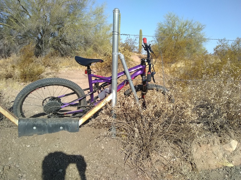 Little Filly Multi Trail Apache Junction, AZ
