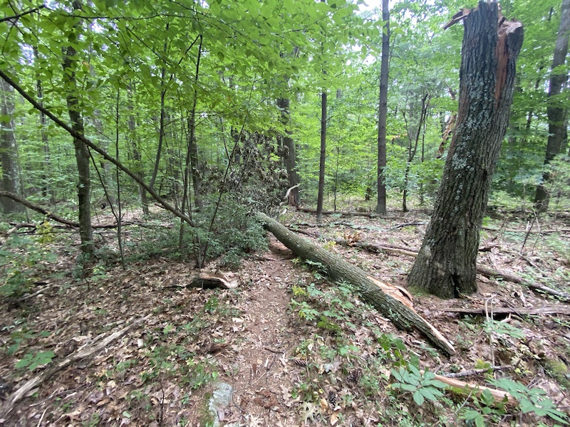 Wolf Den Multi Trail - Leominster, Massachusetts