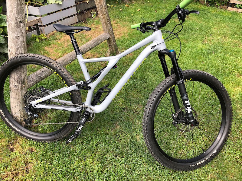 specialized stumpjumper grey