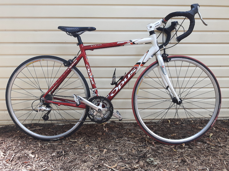 Opus Fidelio For Sale