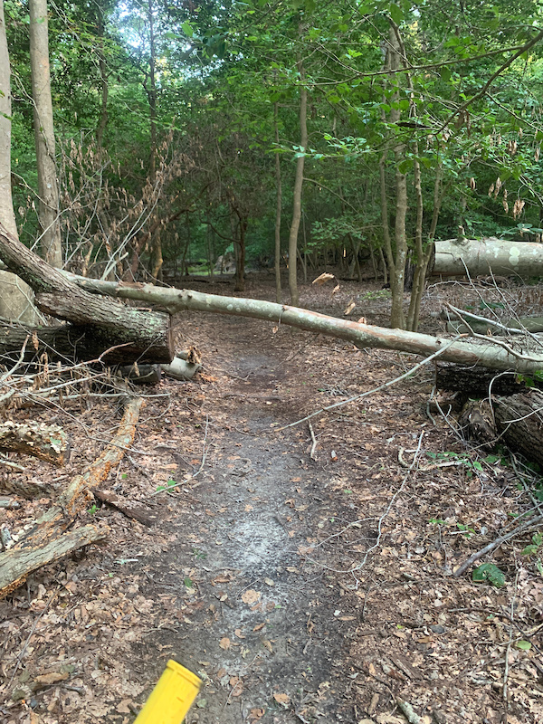 New quarter park mountain bike trail new arrivals