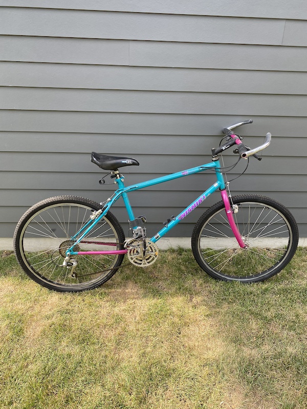 vintage nishiki road bike models