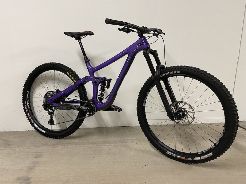 2019 norco search