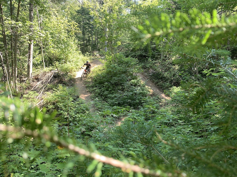 Veterans Park, Lexington Mountain Biking Trails Trailforks