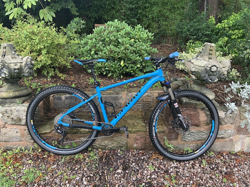 marin bobcat trail 5 2018