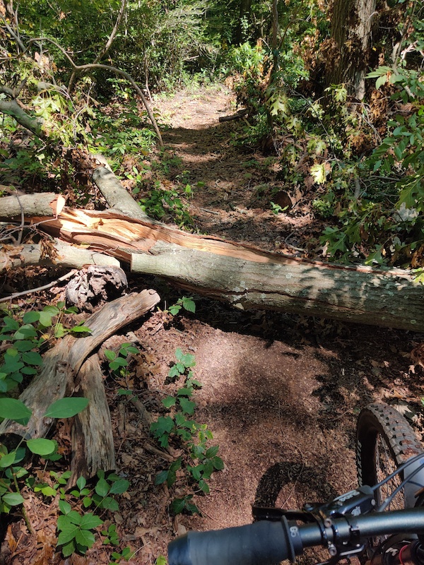 Hills North Access Multi Trail Plainview