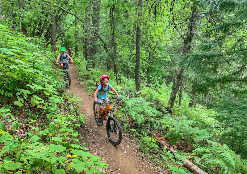 Sunnyside Up Mountain Biking Trail Revelstoke, BC