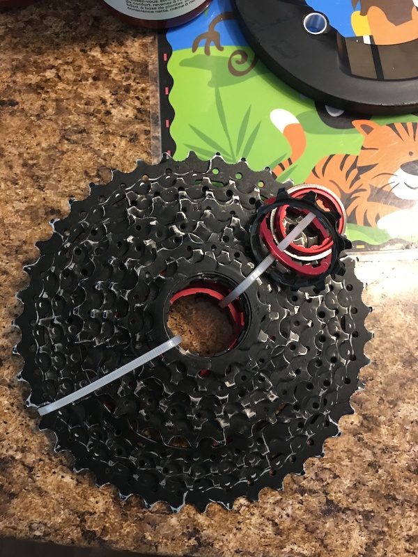 10 speed 42t cassette