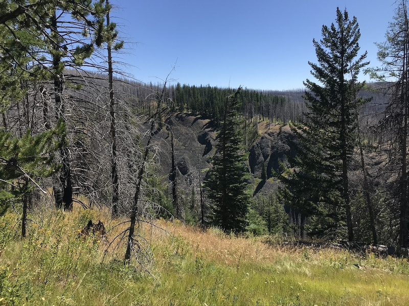 Howard Creek Trail 1372 Multi Trail Ellensburg, WA