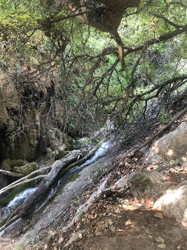 Gorman Falls Trail Multi Trail Bend, Texas