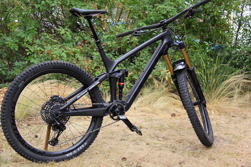 2019 trek remedy 9.9