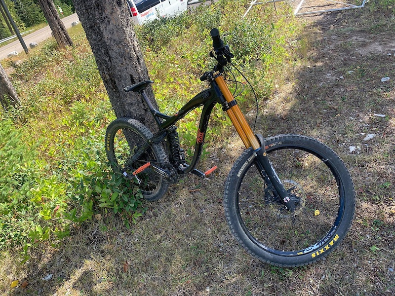 norco aurum dh