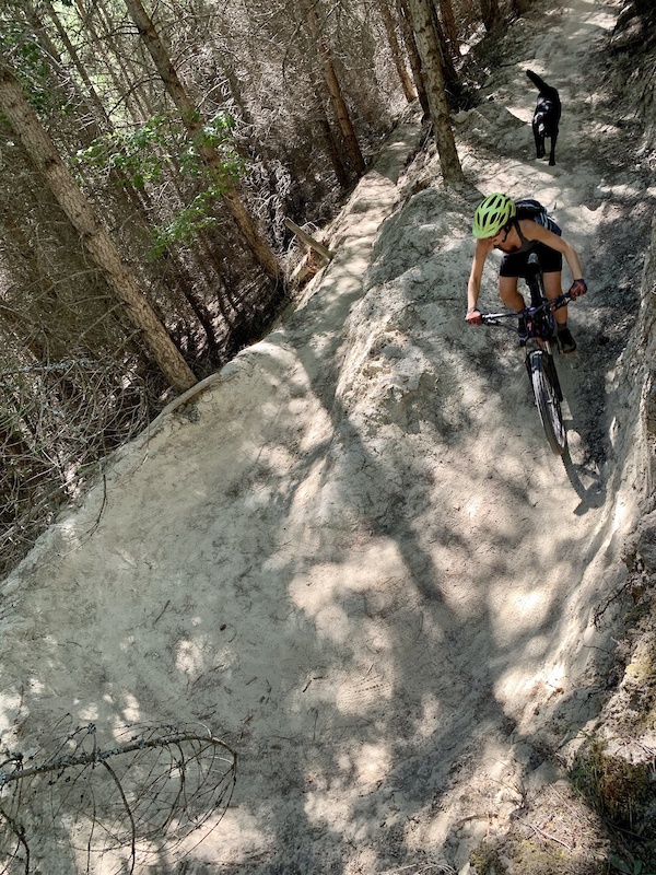 Trail 202 Mountain Biking Trail Bonners Ferry, Idaho
