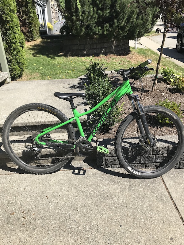 Norco storm 3 2019 review sale