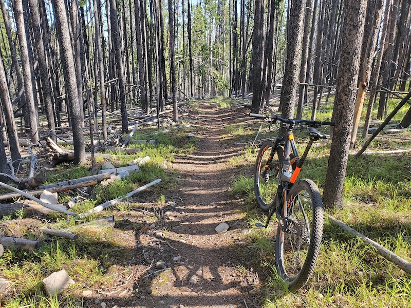 CDT - Konda Trail Multi Trail - Butte, Montana