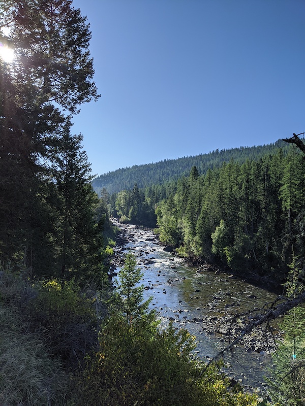 Swan River Trail Mountain Biking Trail Bigfork, MT