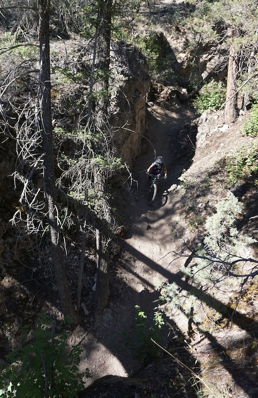 Meat Grinder Mountain Biking Trail Invermere, BC
